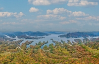 악어들의 가을맞이