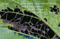 삶속에서...